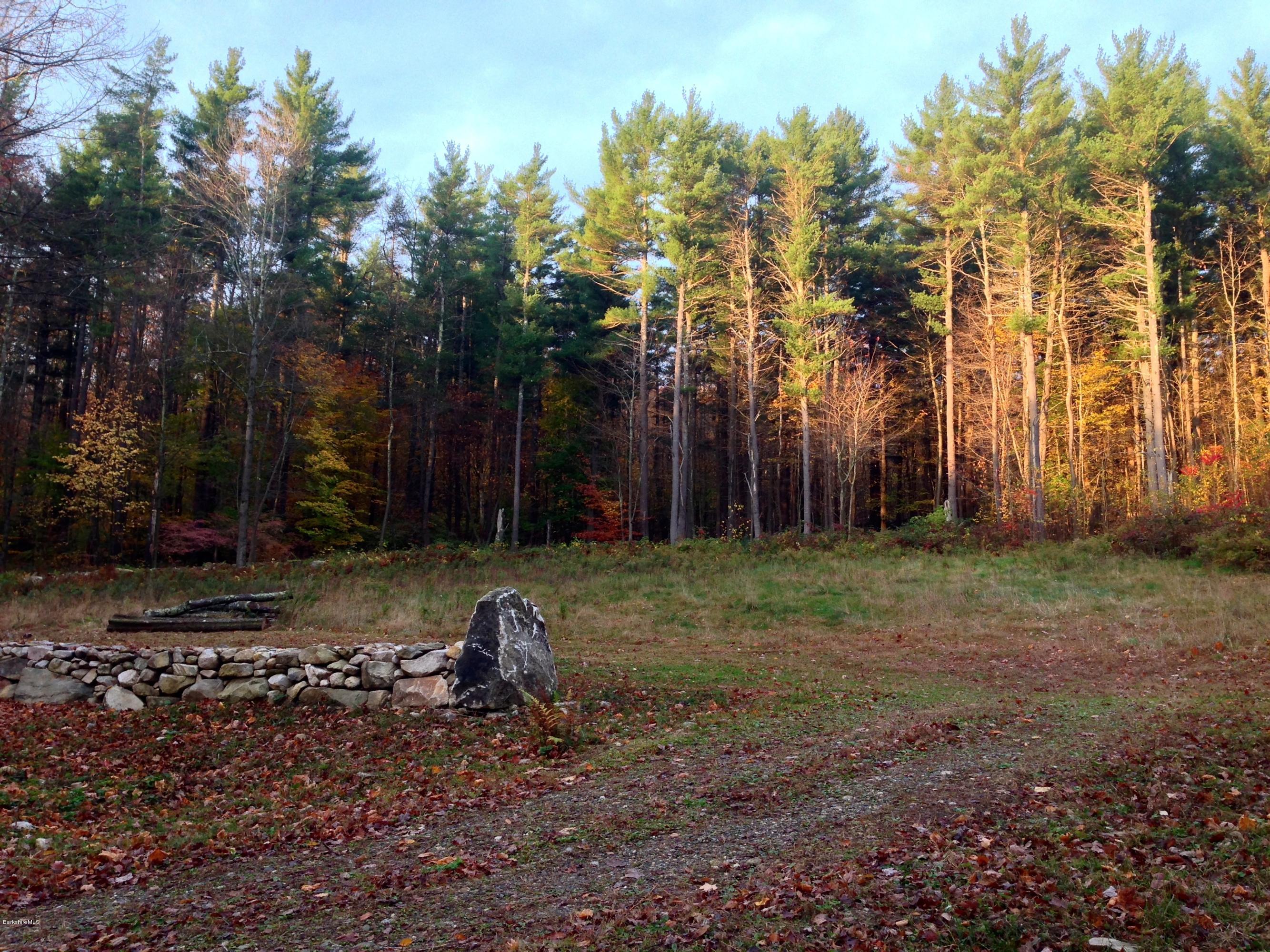 235 Monument Valley Road Great Barrington, MA 01230 - Photo 11 of 21 Entry to Clearing