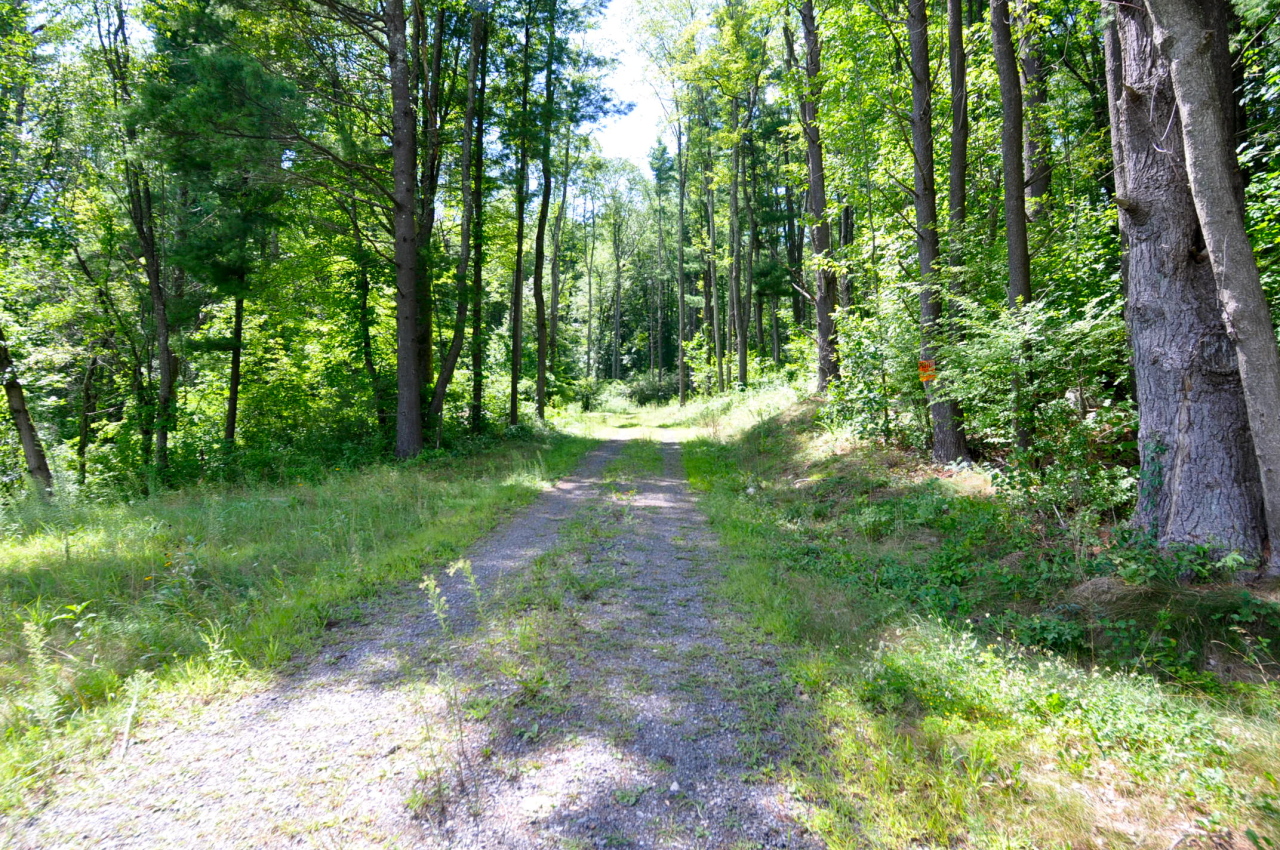 235 Monument Valley Road Great Barrington, MA 01230 - Photo 15 of 21 DRIVE IN