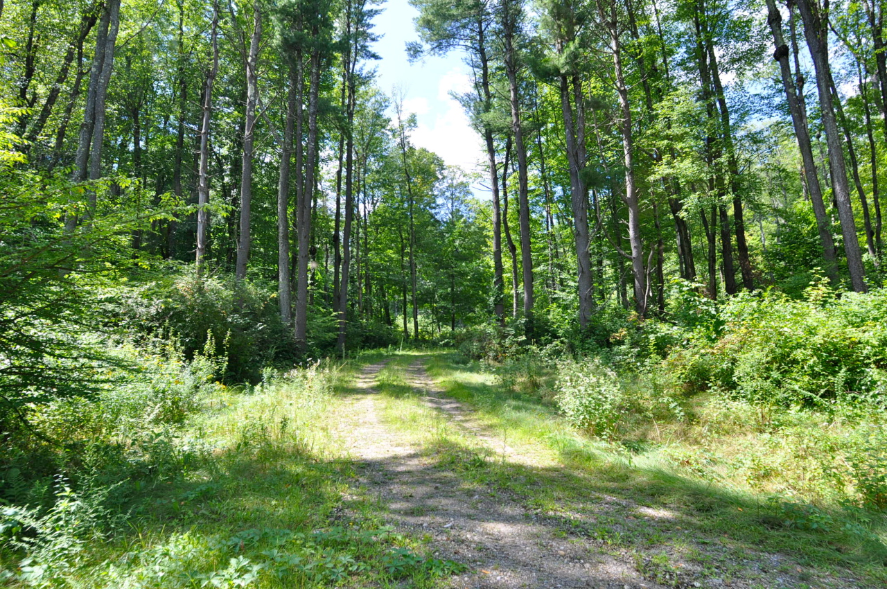 235 Monument Valley Road Great Barrington, MA 01230 - Photo 16 of 21 MORE OF THE DRIVE