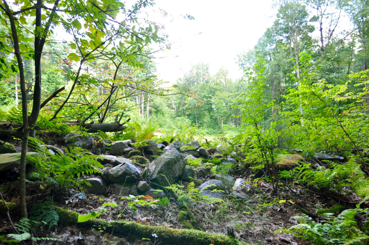 235 Monument Valley Road Great Barrington, MA 01230 - Photo 18 of 21 STONE OUTCROPPINGS