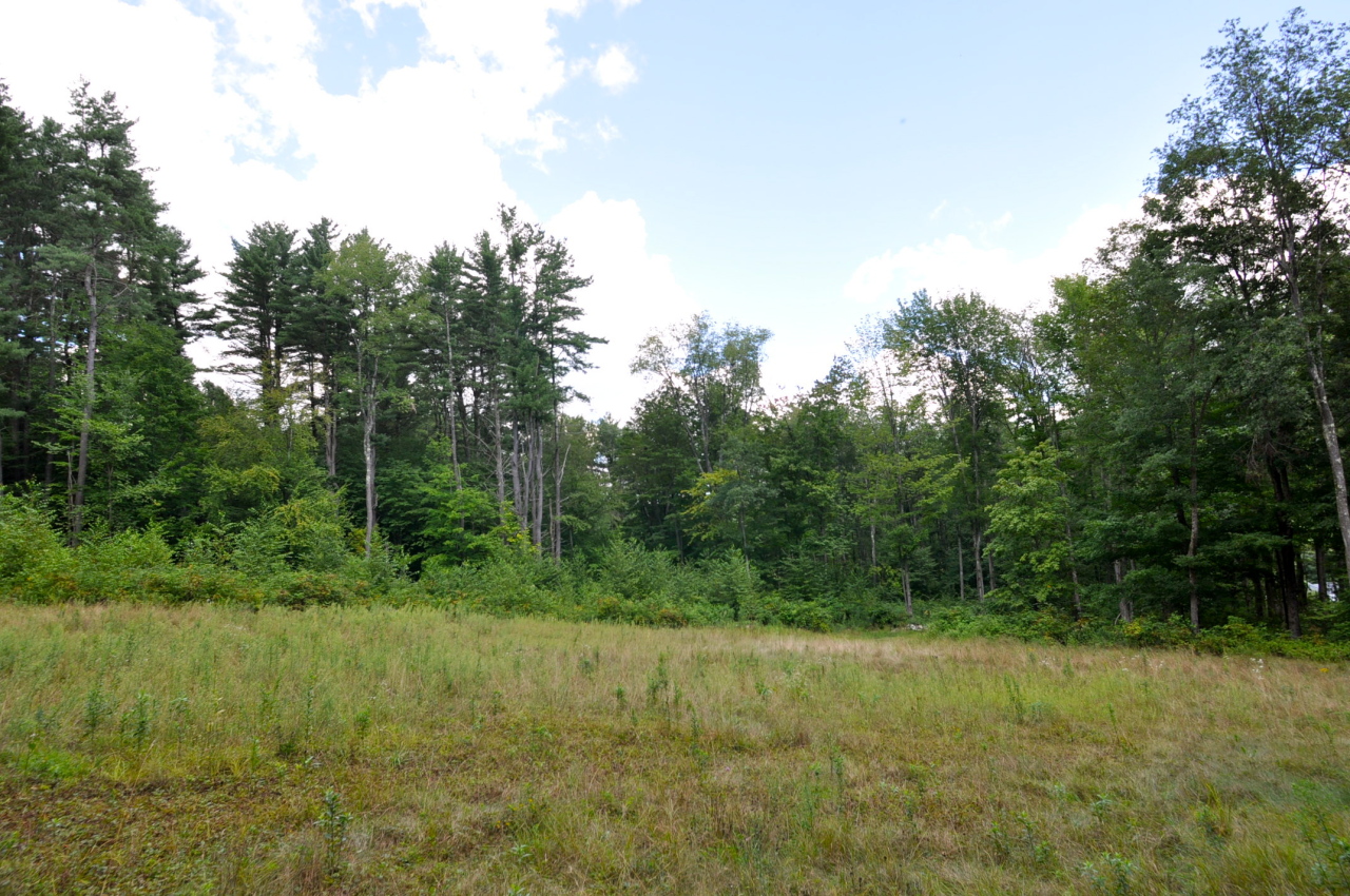 235 Monument Valley Road Great Barrington, MA 01230 - Photo 19 of 21 GENTLY SLOPED OPENING