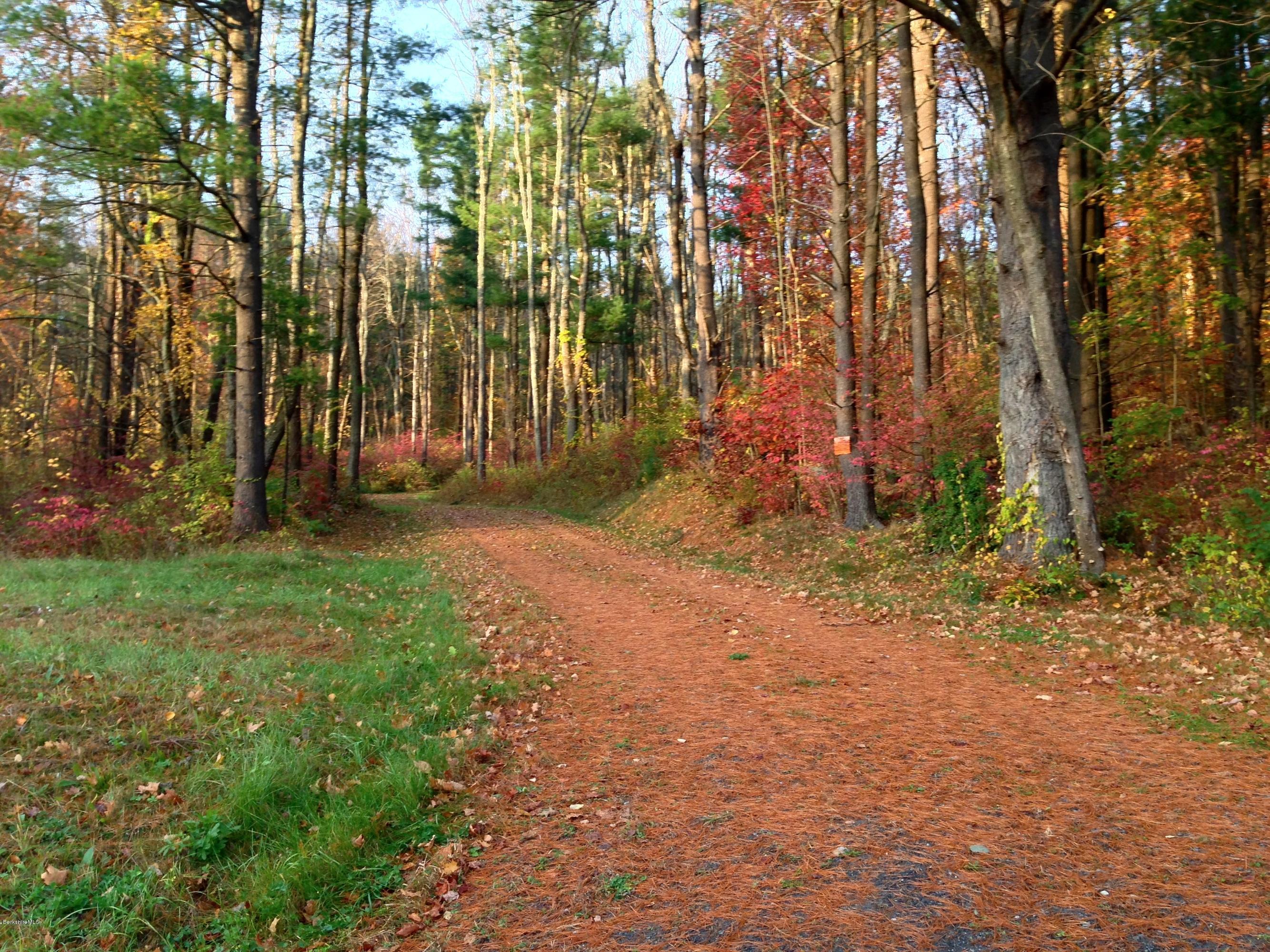 235 Monument Valley Road Great Barrington, MA 01230 - Photo 3 of 21 Driveway off shared access