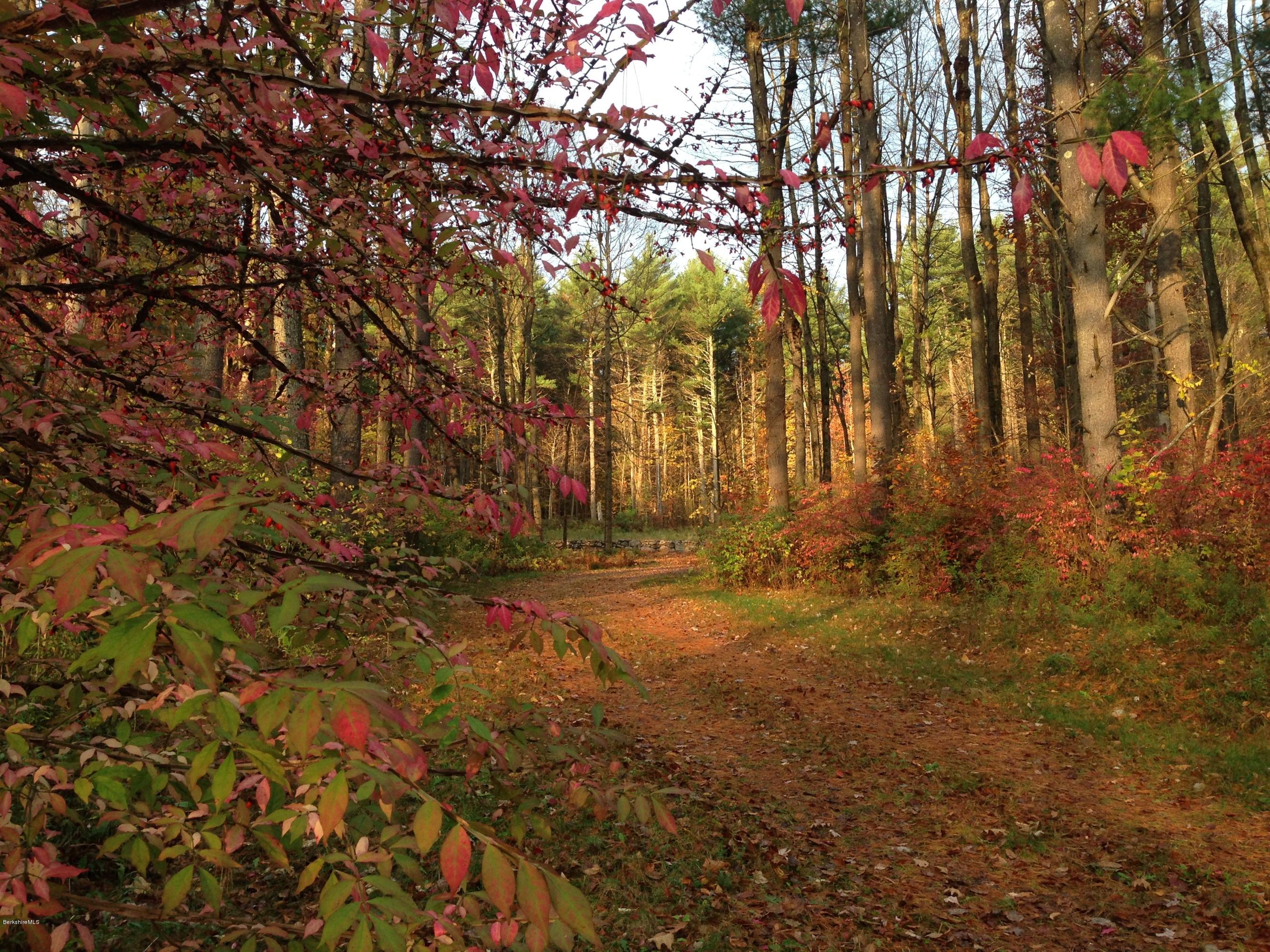 235 Monument Valley Road Great Barrington, MA 01230 - Photo 4 of 21 Drive in
