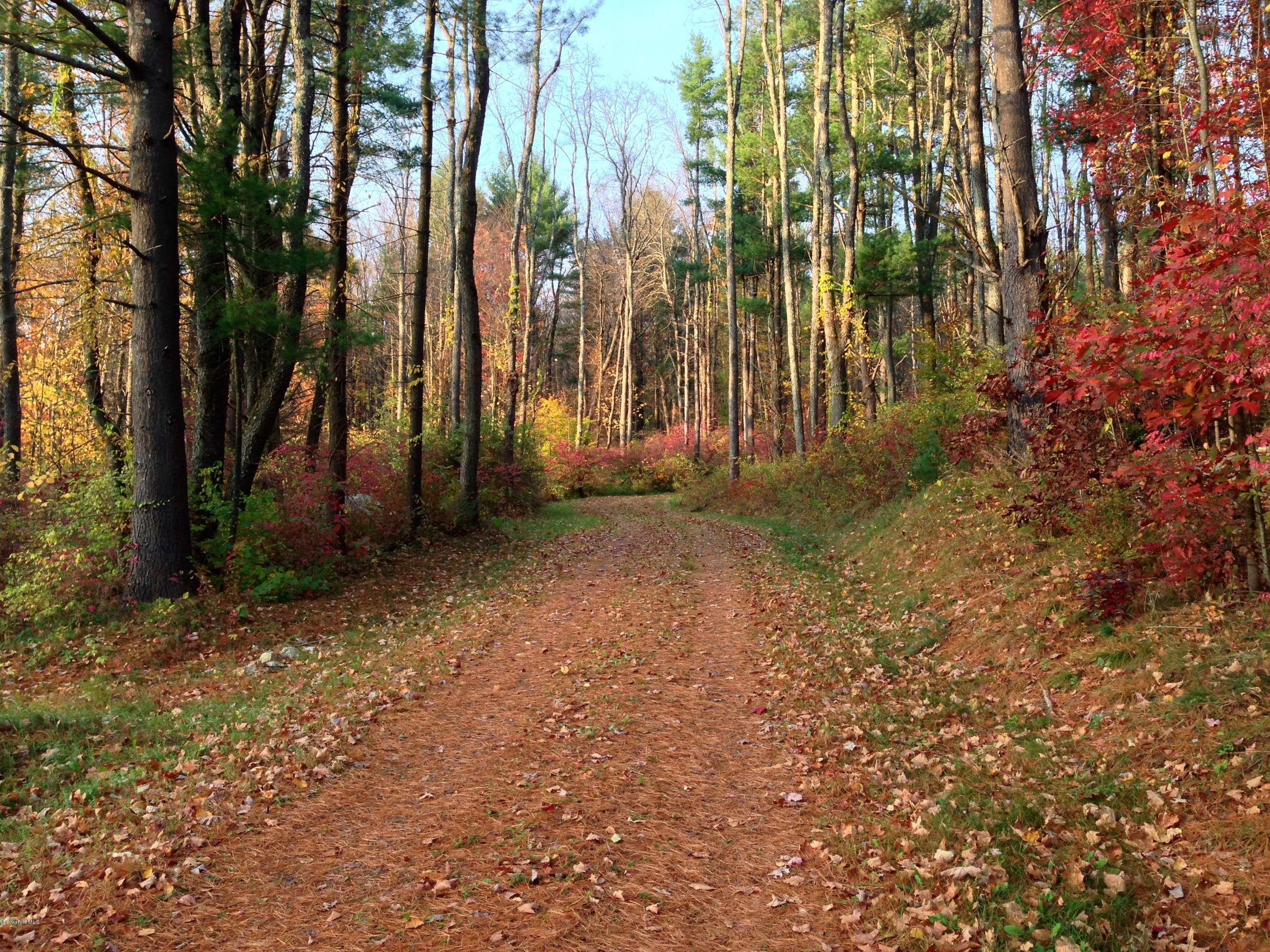 235 Monument Valley Road Great Barrington, MA 01230 - Photo 5 of 21 Esstablished drive