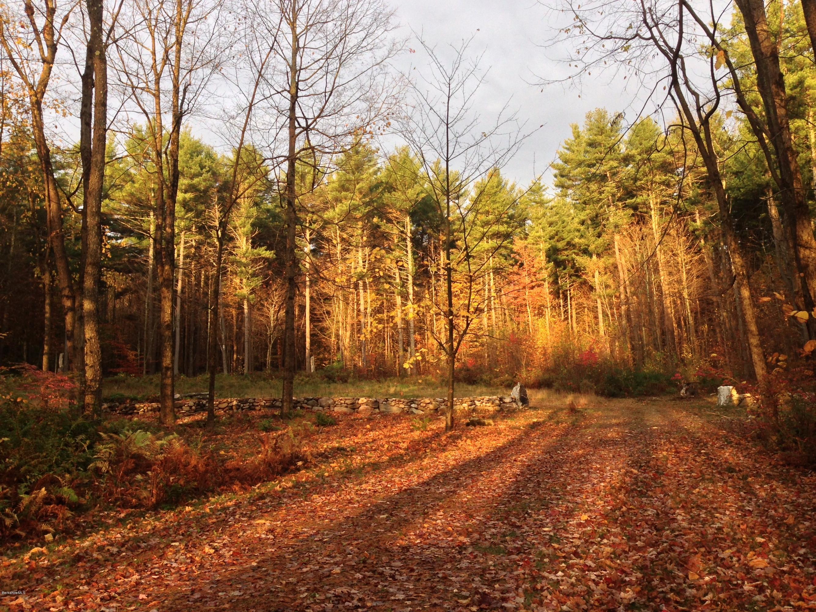 235 Monument Valley Road Great Barrington, MA 01230 - Photo 6 of 21 AM Light through the trees and drive in