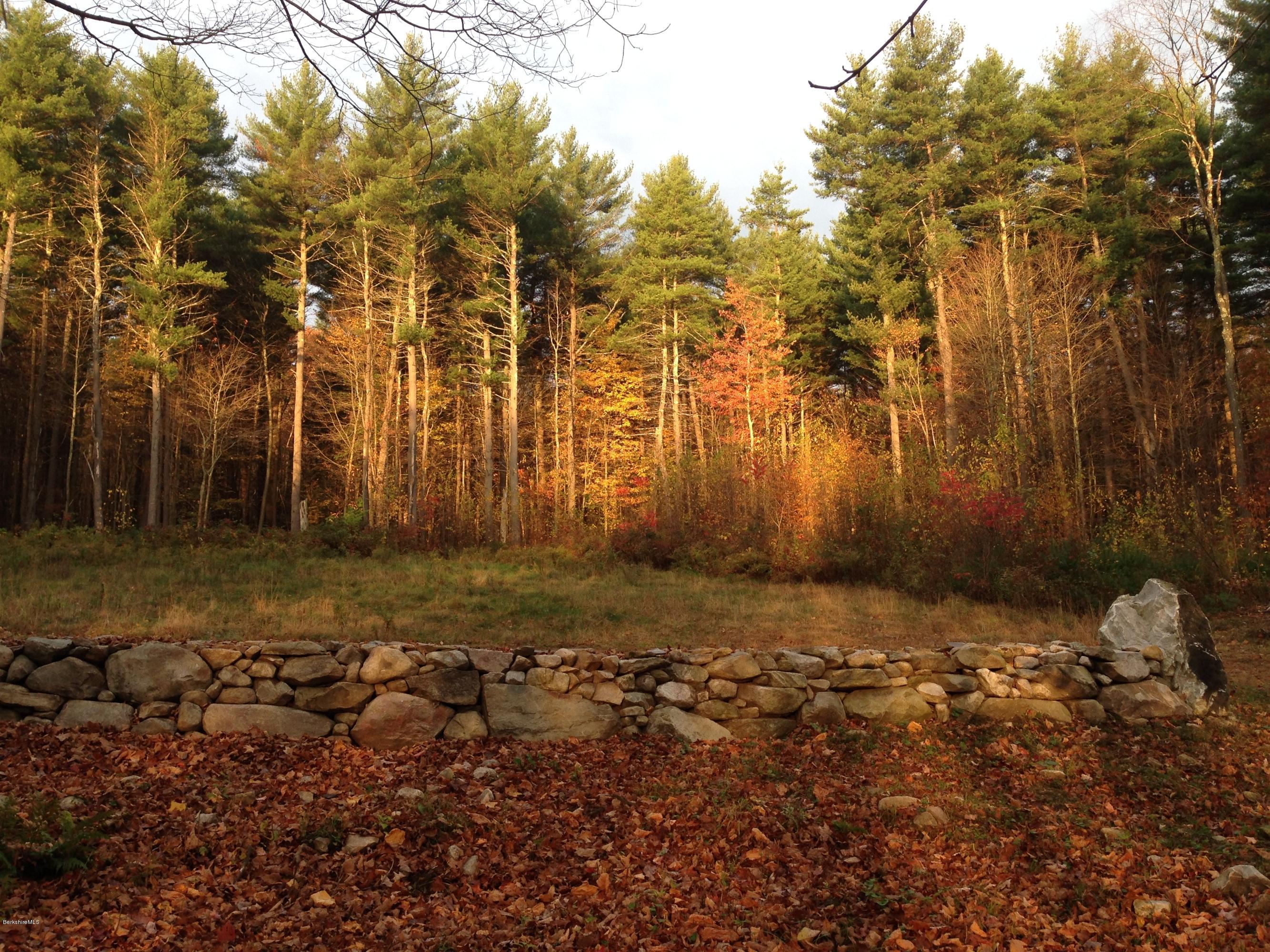 235 Monument Valley Road Great Barrington, MA 01230 - Photo 7 of 21 Morning light