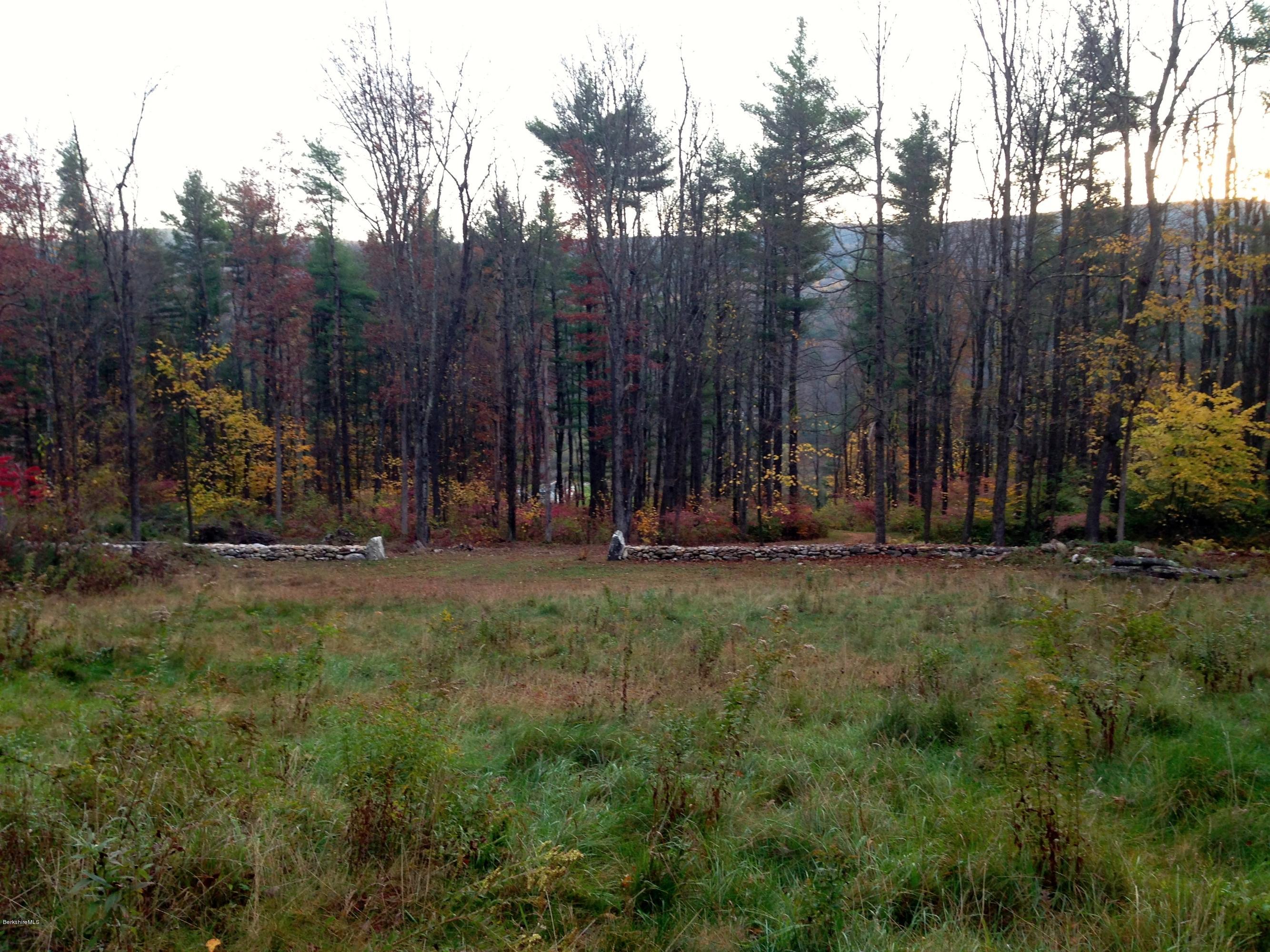 235 Monument Valley Road Great Barrington, MA 01230 - Photo 9 of 21 Back of Cleared area facing East