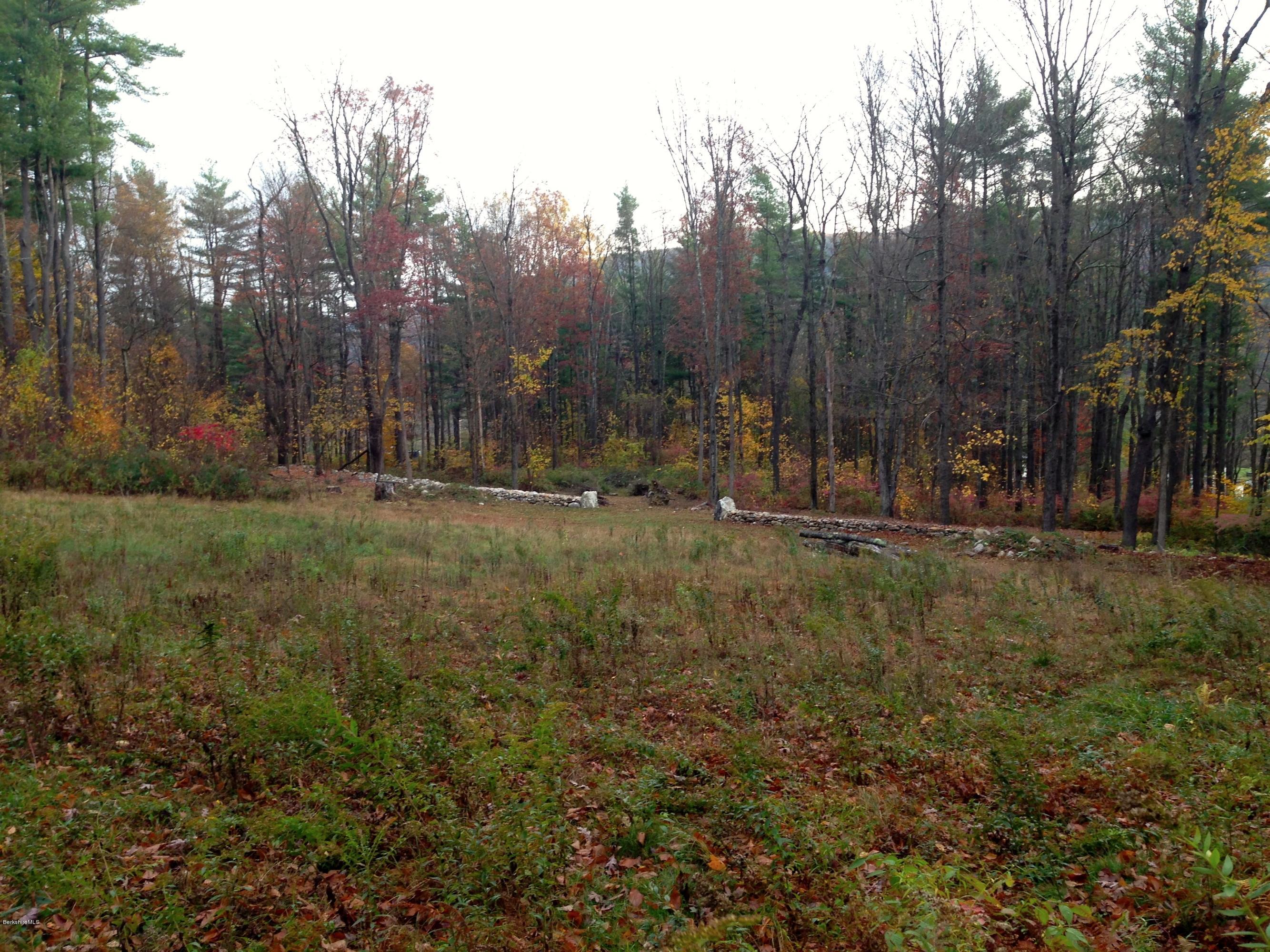 235 Monument Valley Road Great Barrington, MA 01230 - Photo 10 of 21 Back of cleared area facing Northeast