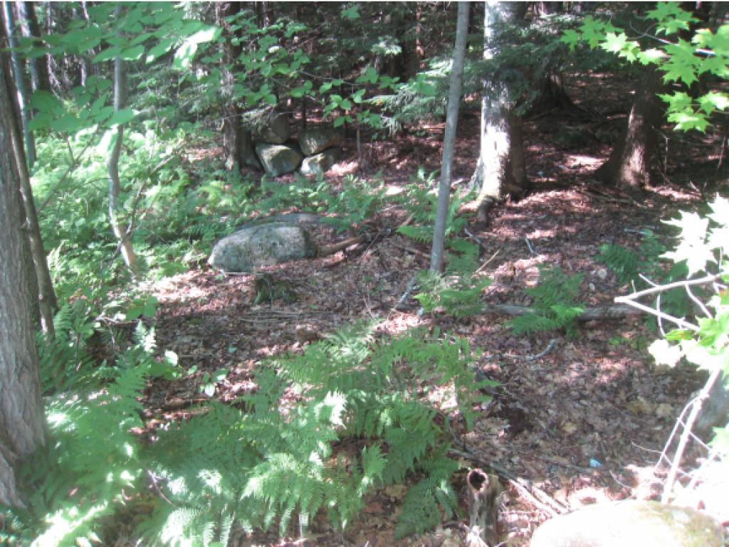 0 Cutter Hill Rindge, NH 03461 - Photo 1 of 16