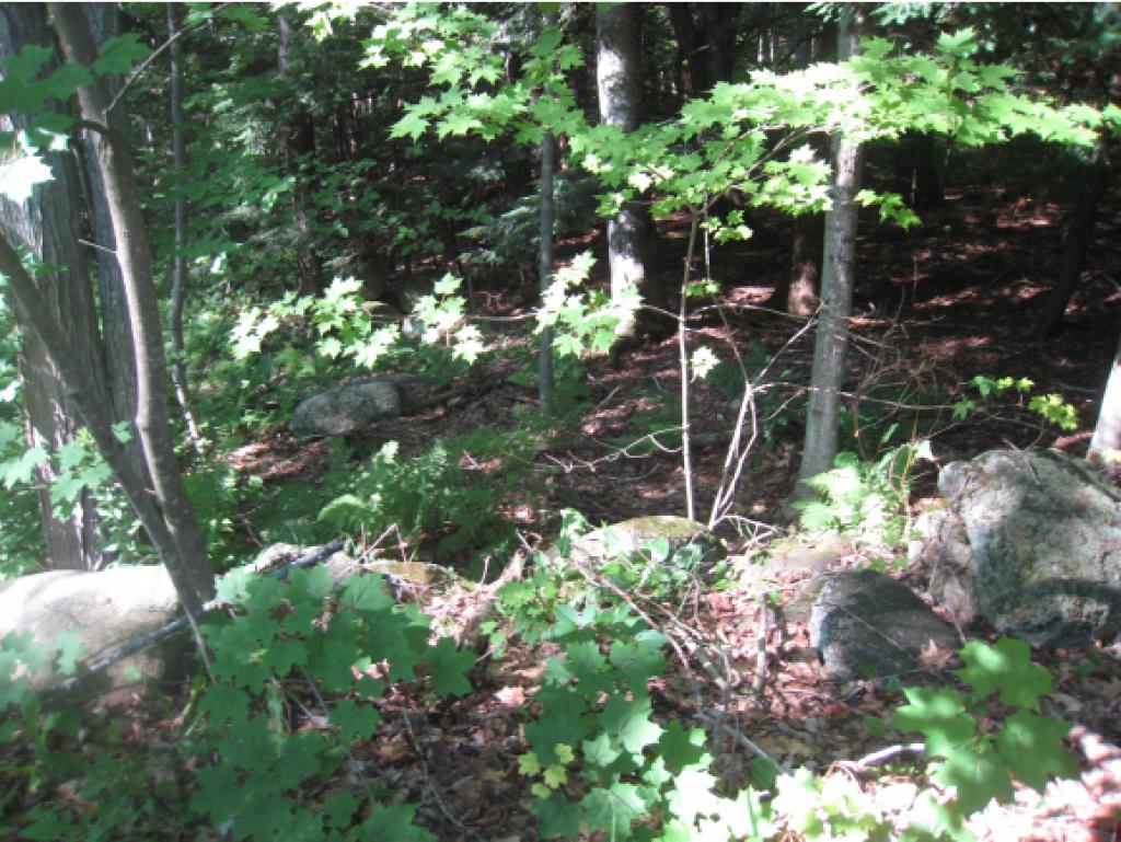 0 Cutter Hill Rindge, NH 03461 - Photo 13 of 16