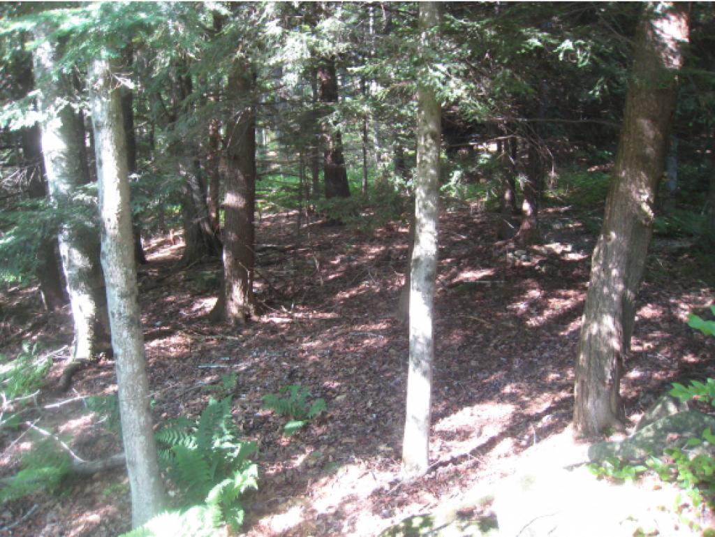 0 Cutter Hill Rindge, NH 03461 - Photo 14 of 16