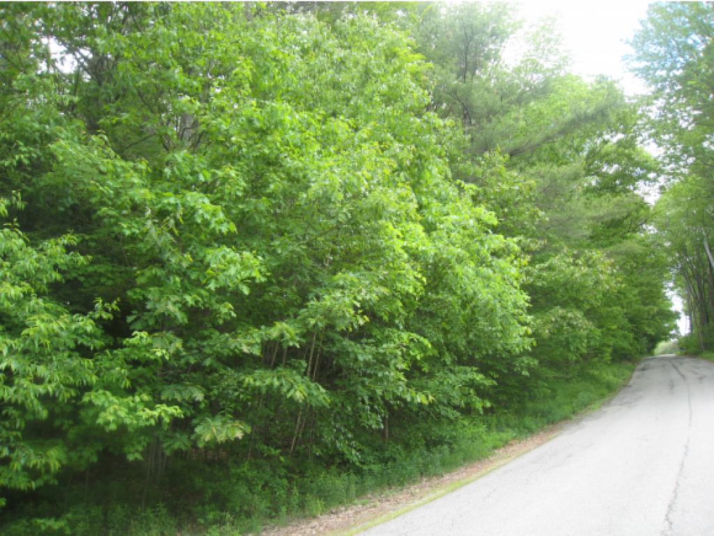0 Cutter Hill Rindge, NH 03461 - Photo 3 of 16