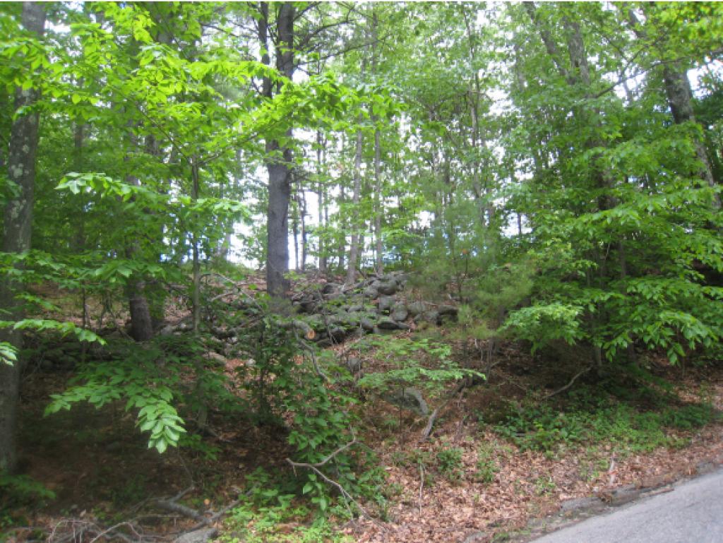 0 Cutter Hill Rindge, NH 03461 - Photo 5 of 16