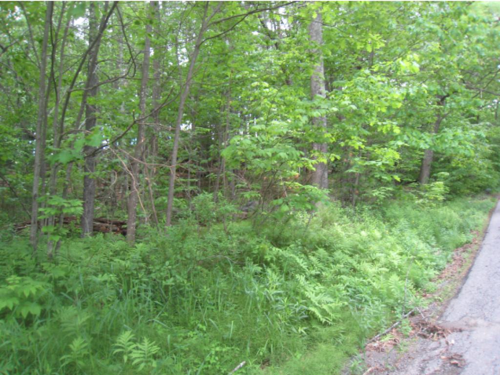 0 Cutter Hill Rindge, NH 03461 - Photo 8 of 16
