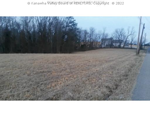 5650 Flatwoods Road Ravenswood, WV 26164 - Photo 5 of 6 Land.