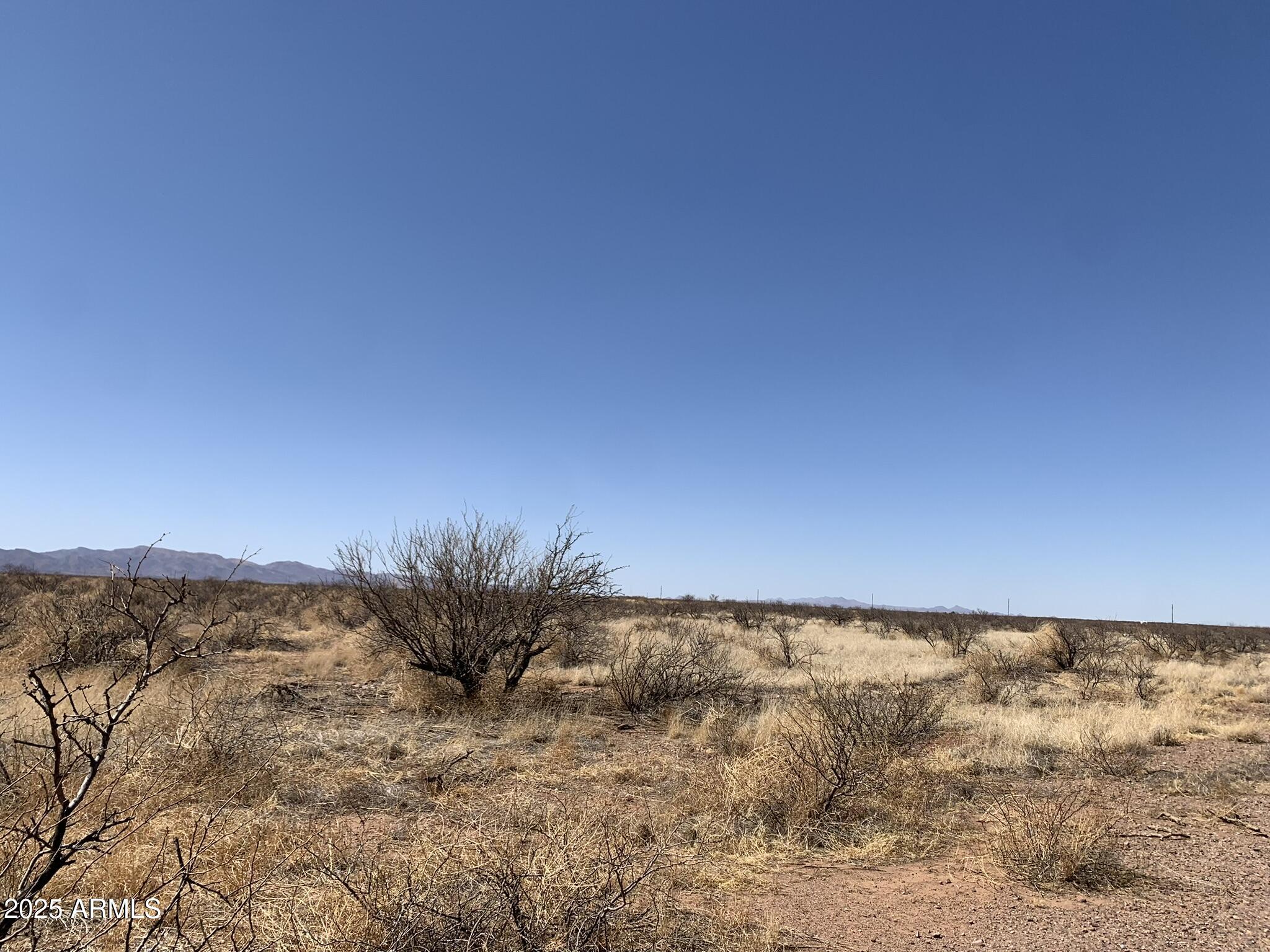 Tbd West Cal Tech Drive, Unit 1109 Douglas, AZ 85607 - Photo 3 of 5 a view of a yard with a mountain