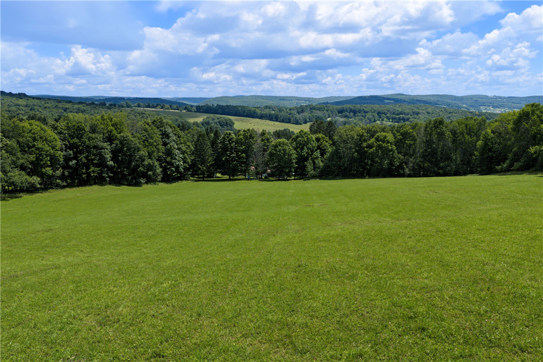 2695 Pomeroy Road Franklin, NY 13846 - Photo 4 of 50 Gallery Image 4