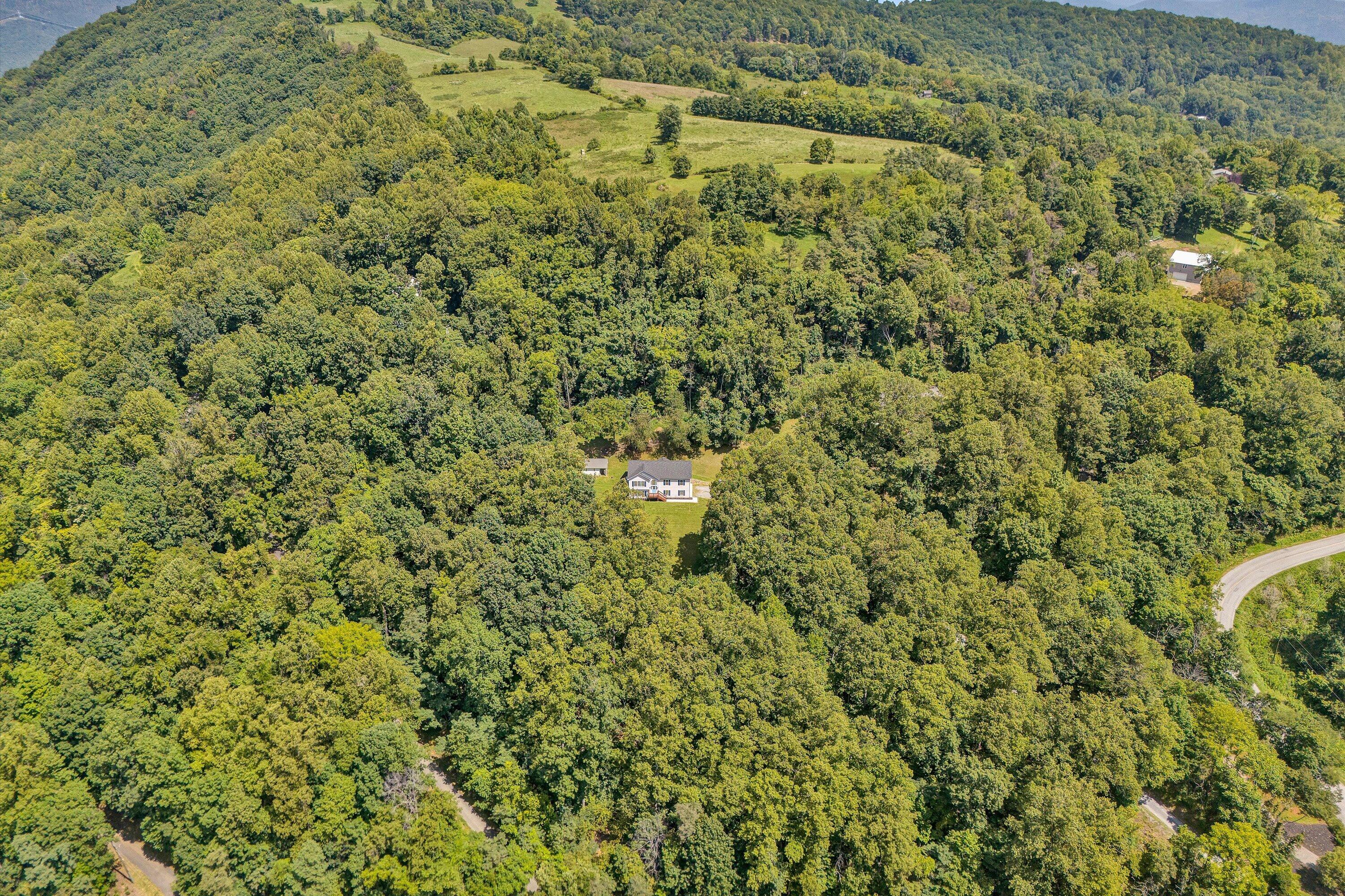 2651 Porters Mountain Road Blue Ridge, VA 24064 - Photo 37 of 43 39-Arial View