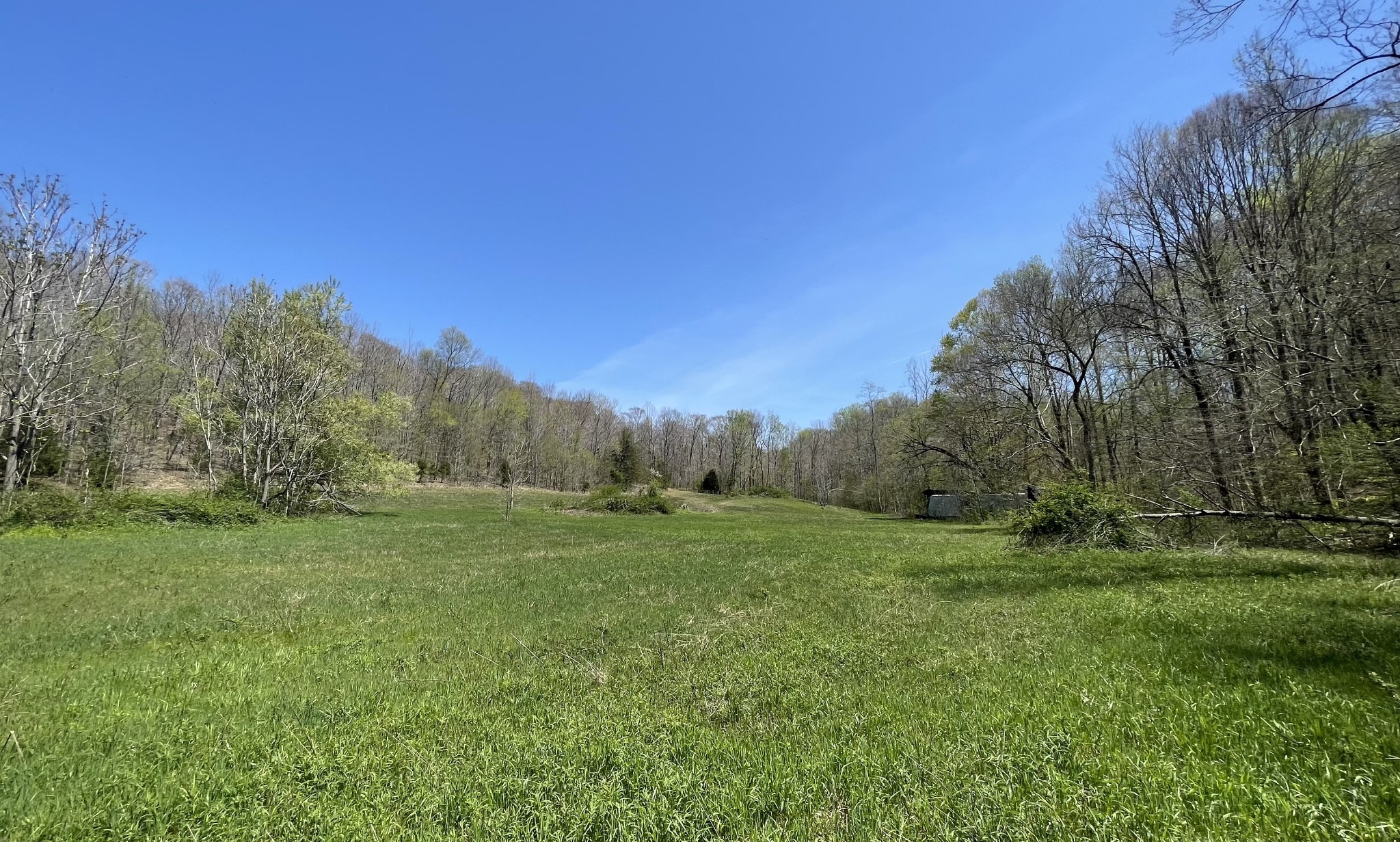0 County Road Linden, TN 37096 - Photo 1 of 10 a view of a grassy field with trees in the background