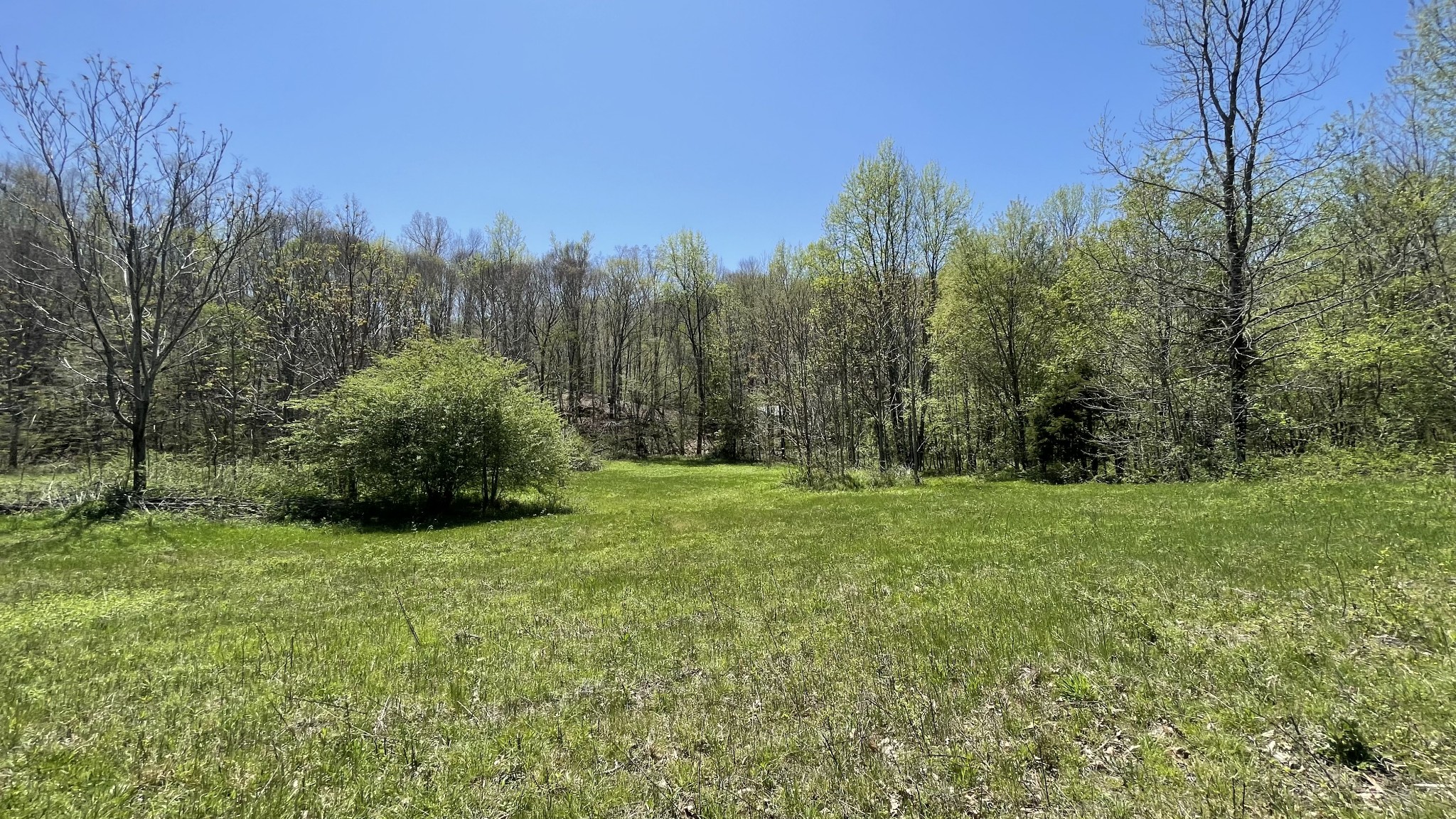 0 County Road Linden, TN 37096 - Photo 2 of 10 a view of a grassy field with trees in the background