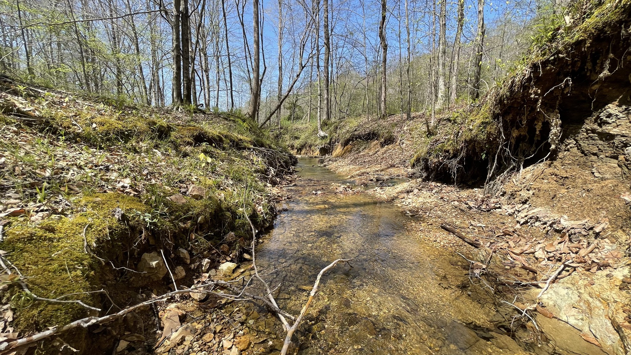 0 County Road Linden, TN 37096 - Photo 4 of 10 a view of a backyard of the house