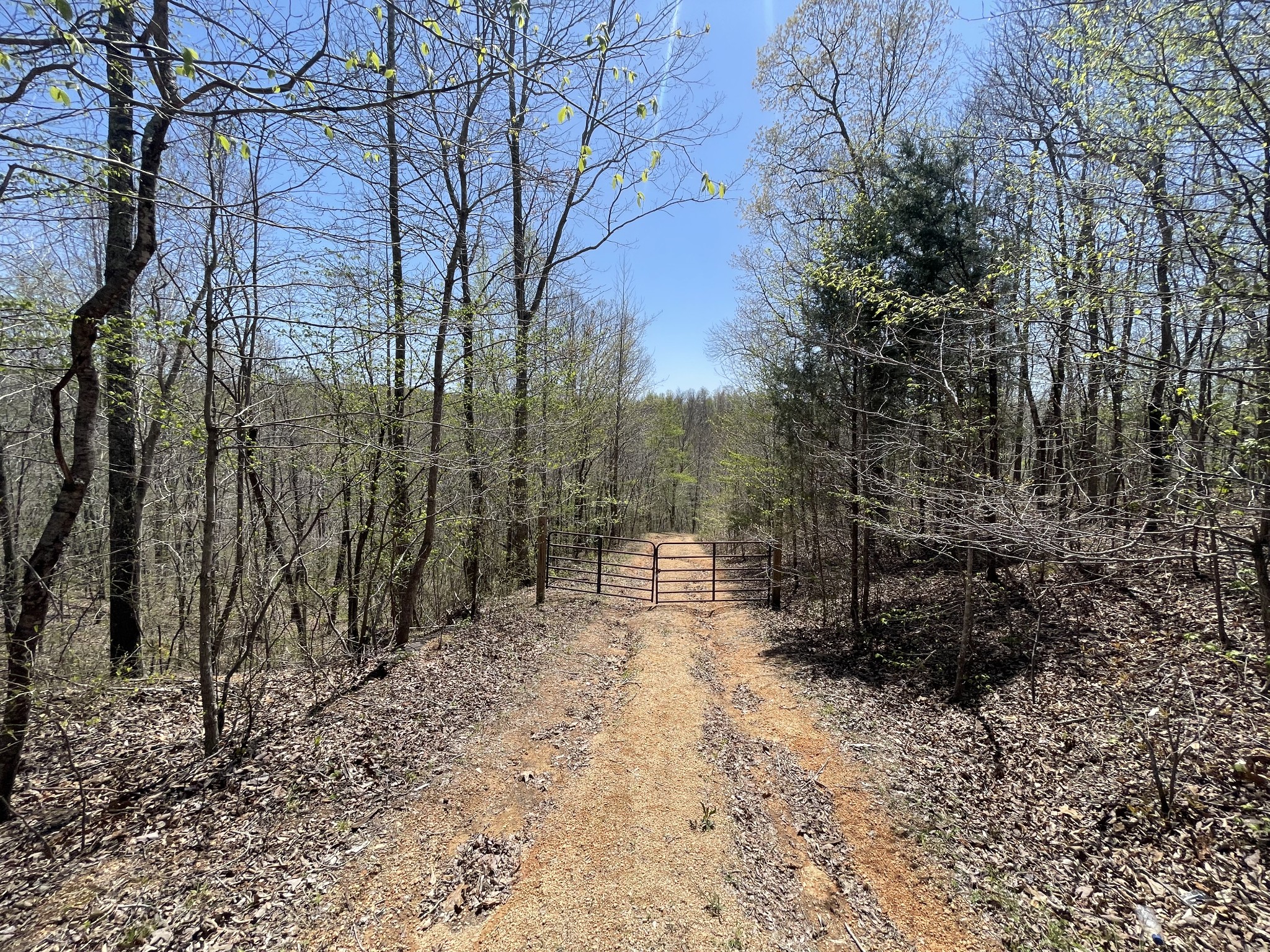 0 County Road Linden, TN 37096 - Photo 7 of 10 a view of a yard with trees