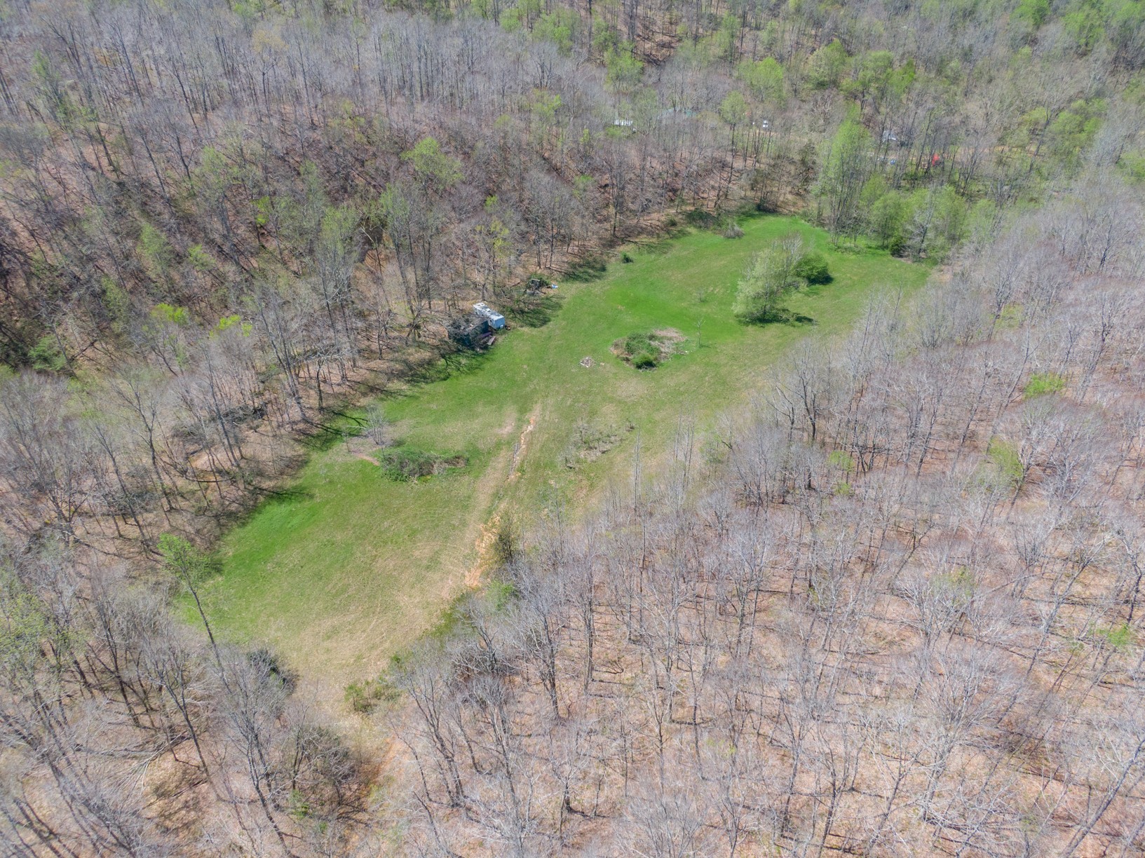0 County Road Linden, TN 37096 - Photo 8 of 10 a view of a pathway both side of yard