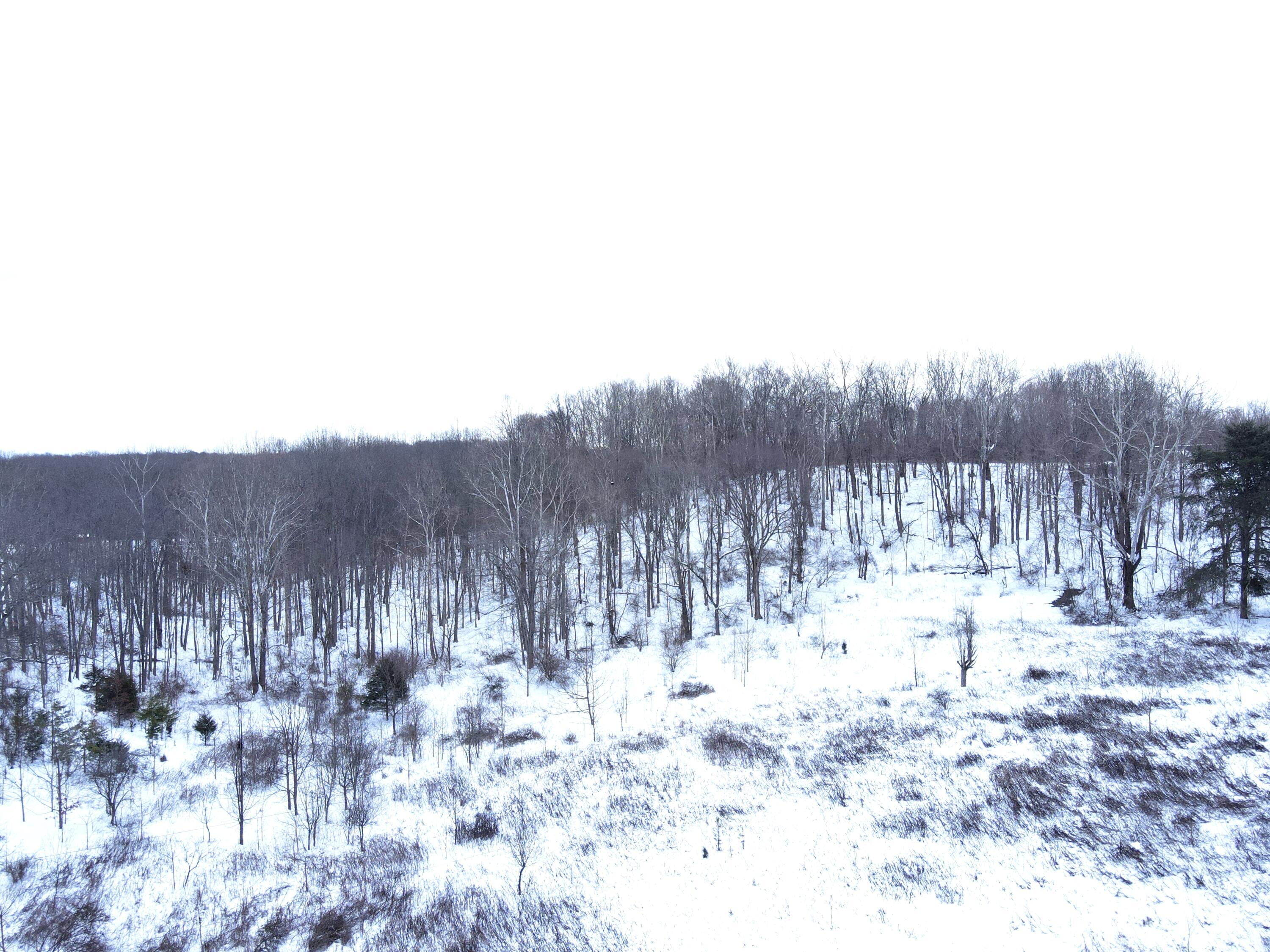 0 Price Strong Road Vinton, OH 45686 - Photo 15 of 20 DJI_0869