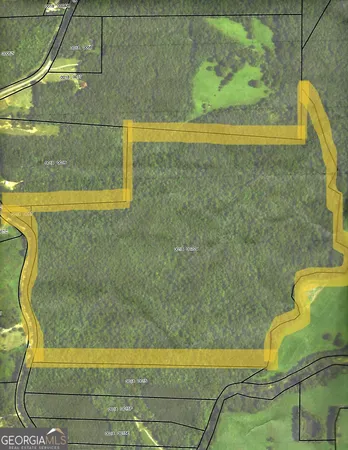 $985,000 | 0 George Green Road, Tallapoosa, GA 30176