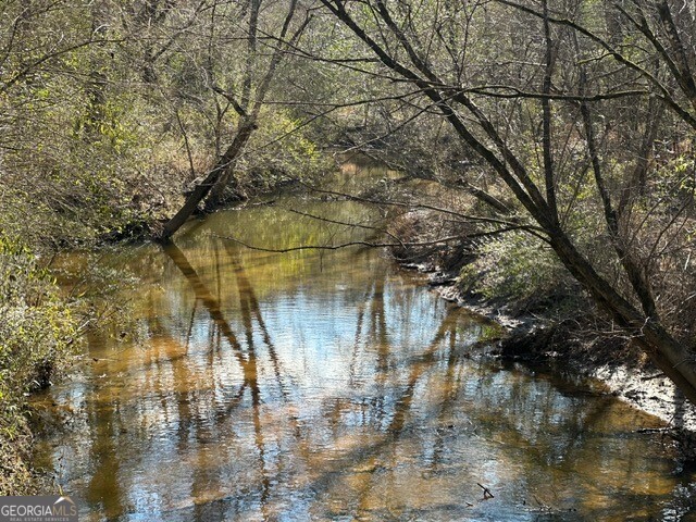 0 George Green Road Tallapoosa, GA 30176 - Photo 11 of 16 Little's creek covers most of the east side of the property with ridges overlooking.