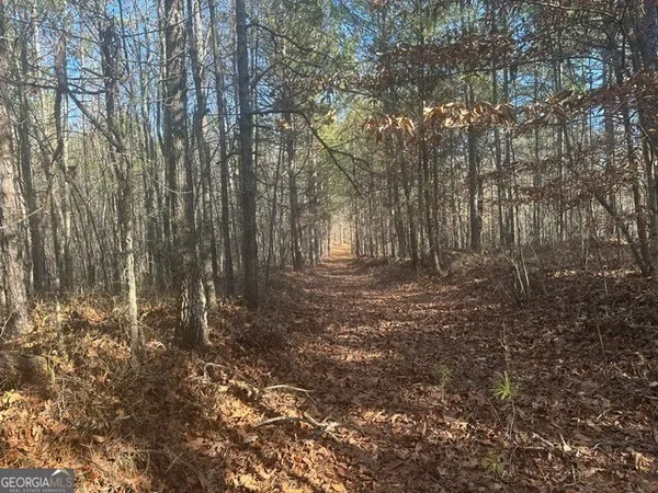 $985,000 | 0 George Green Road, Tallapoosa, GA 30176
