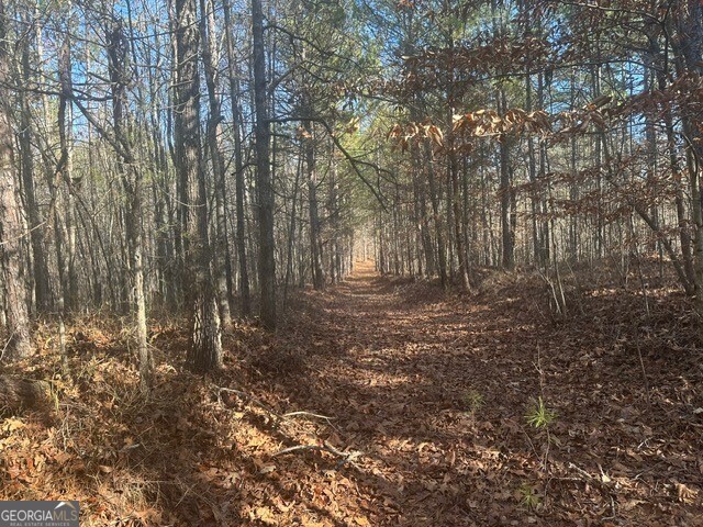 0 George Green Road Tallapoosa, GA 30176 - Photo 12 of 16 Road view to Three Ridge Overlook