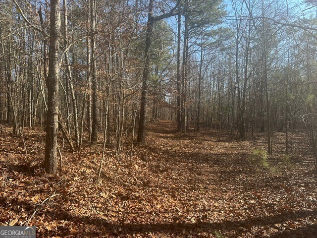 0 George Green Road Tallapoosa, GA 30176 - Photo 13 of 16 From Highway entering the property