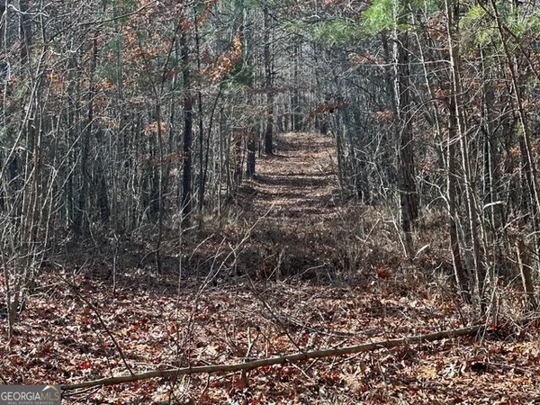 $985,000 | 0 George Green Road, Tallapoosa, GA 30176