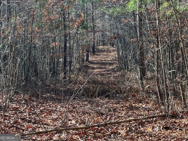 0 George Green Road Tallapoosa, GA 30176 - Photo 14 of 16 Woodland road
