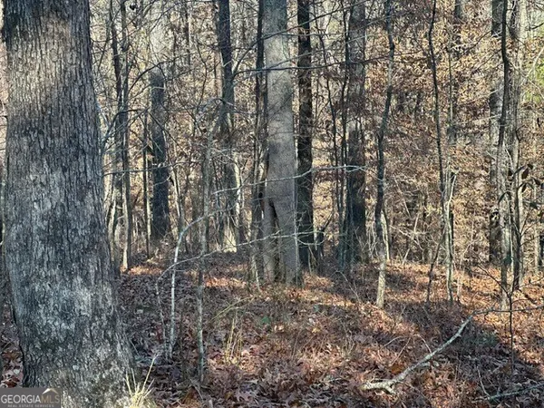 $985,000 | 0 George Green Road, Tallapoosa, GA 30176