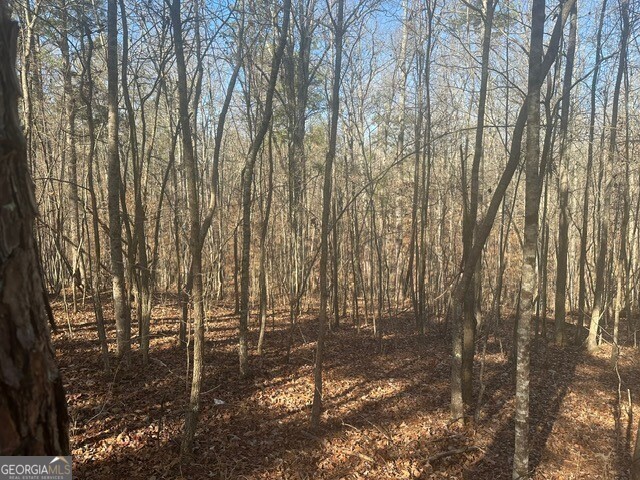 0 George Green Road Tallapoosa, GA 30176 - Photo 16 of 16 Woodlands view from back ridge
