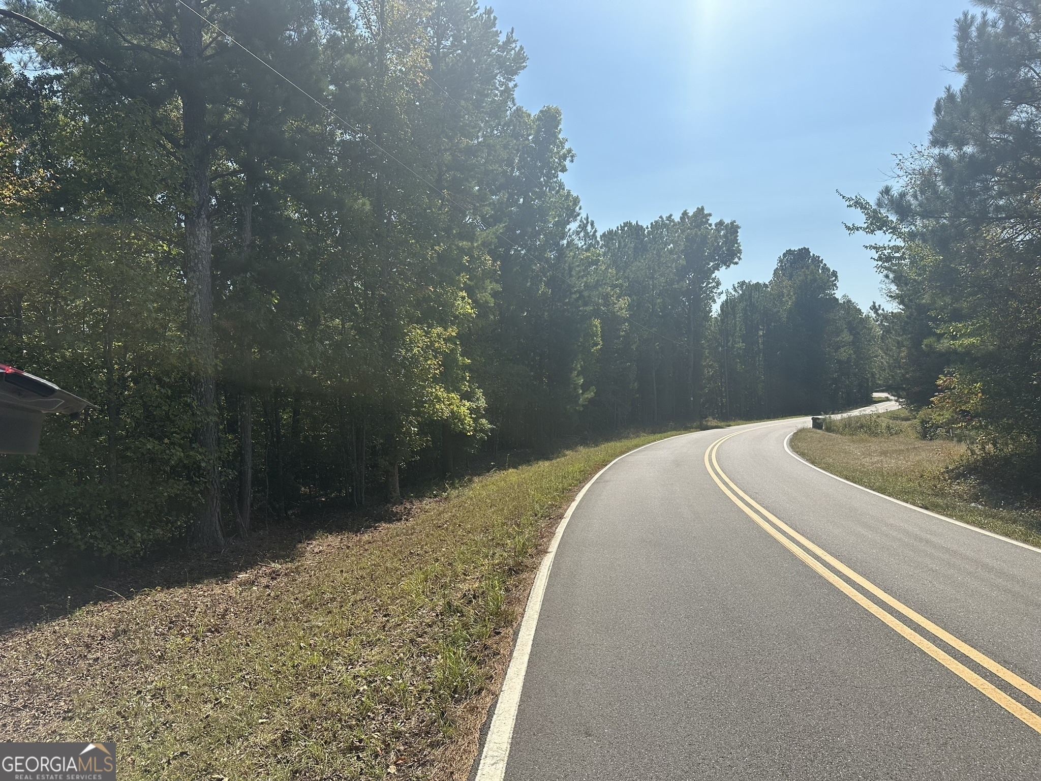 0 George Green Road Tallapoosa, GA 30176 - Photo 4 of 16 One quarter mile of highway frontage