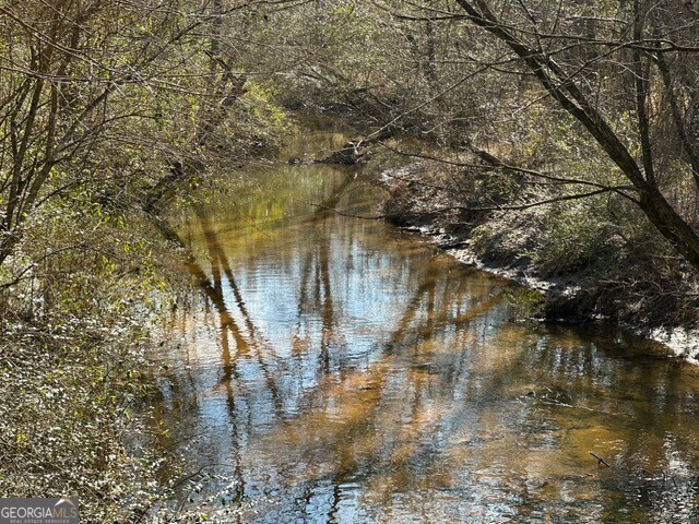 0 George Green Road Tallapoosa, GA 30176 - Photo 5 of 16 One quarter mile on Little's Creek to Tallapoosa River junction