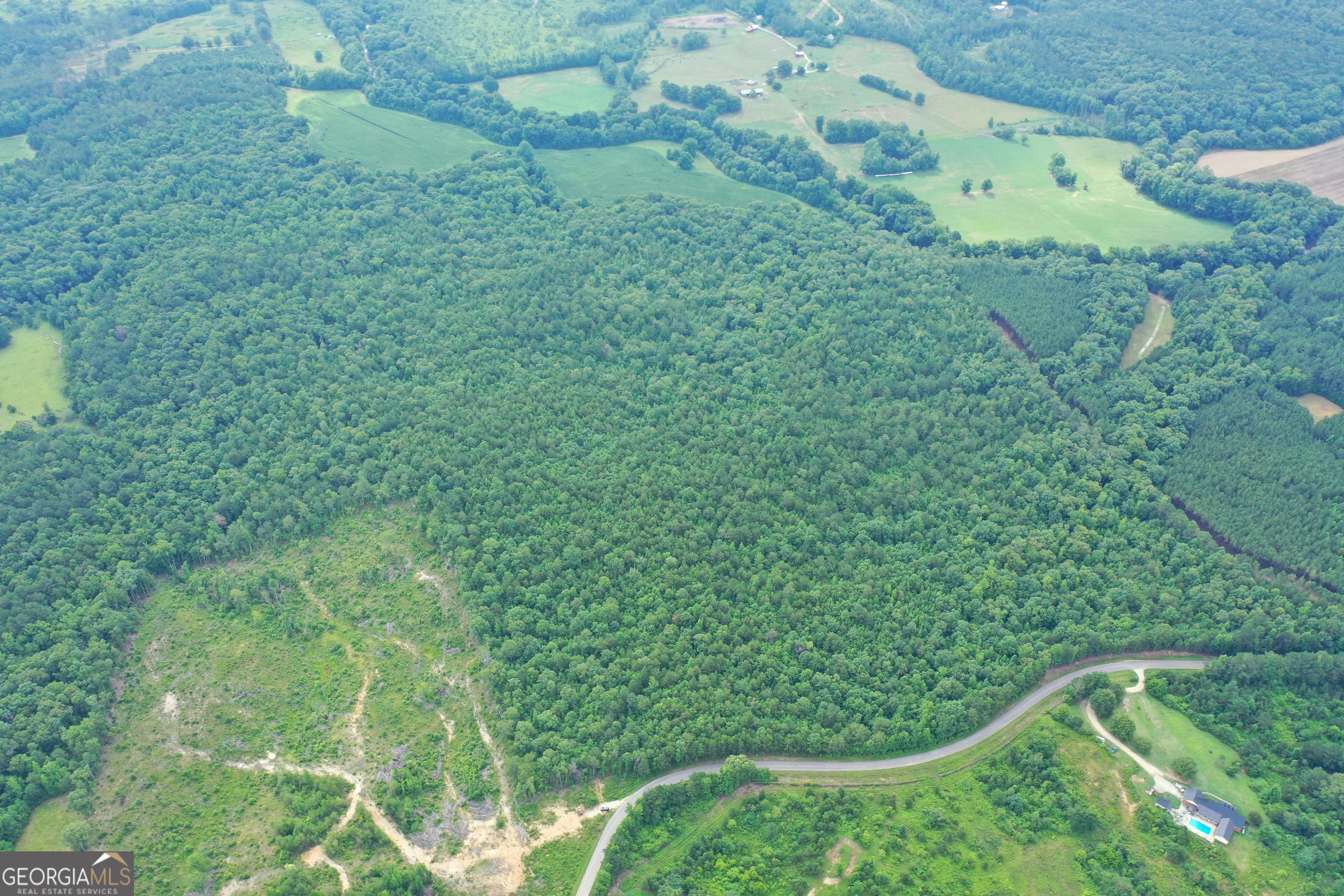 0 George Green Road Tallapoosa, GA 30176 - Photo 6 of 16