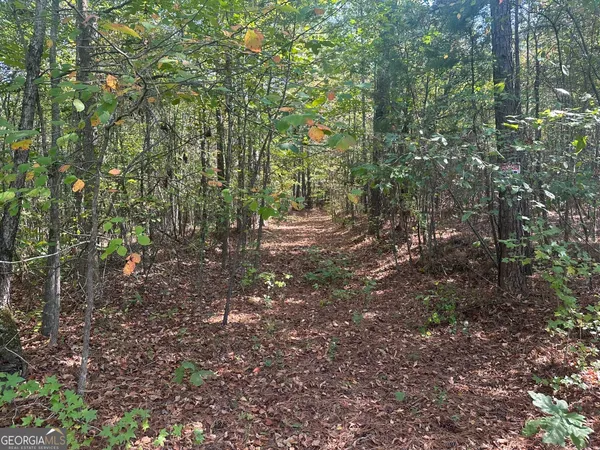 $985,000 | 0 George Green Road, Tallapoosa, GA 30176