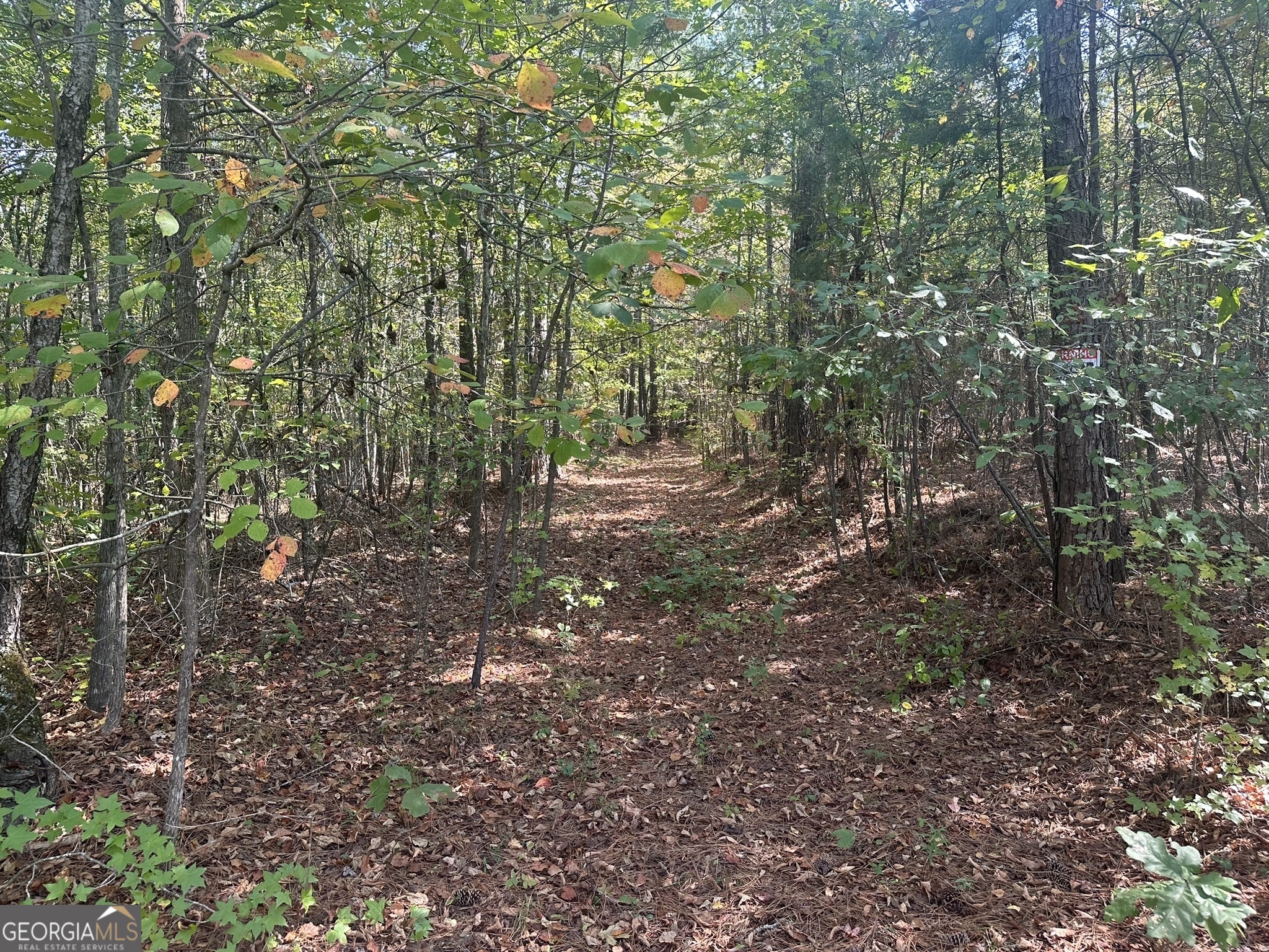 0 George Green Road Tallapoosa, GA 30176 - Photo 7 of 16 Red dirt road through the property