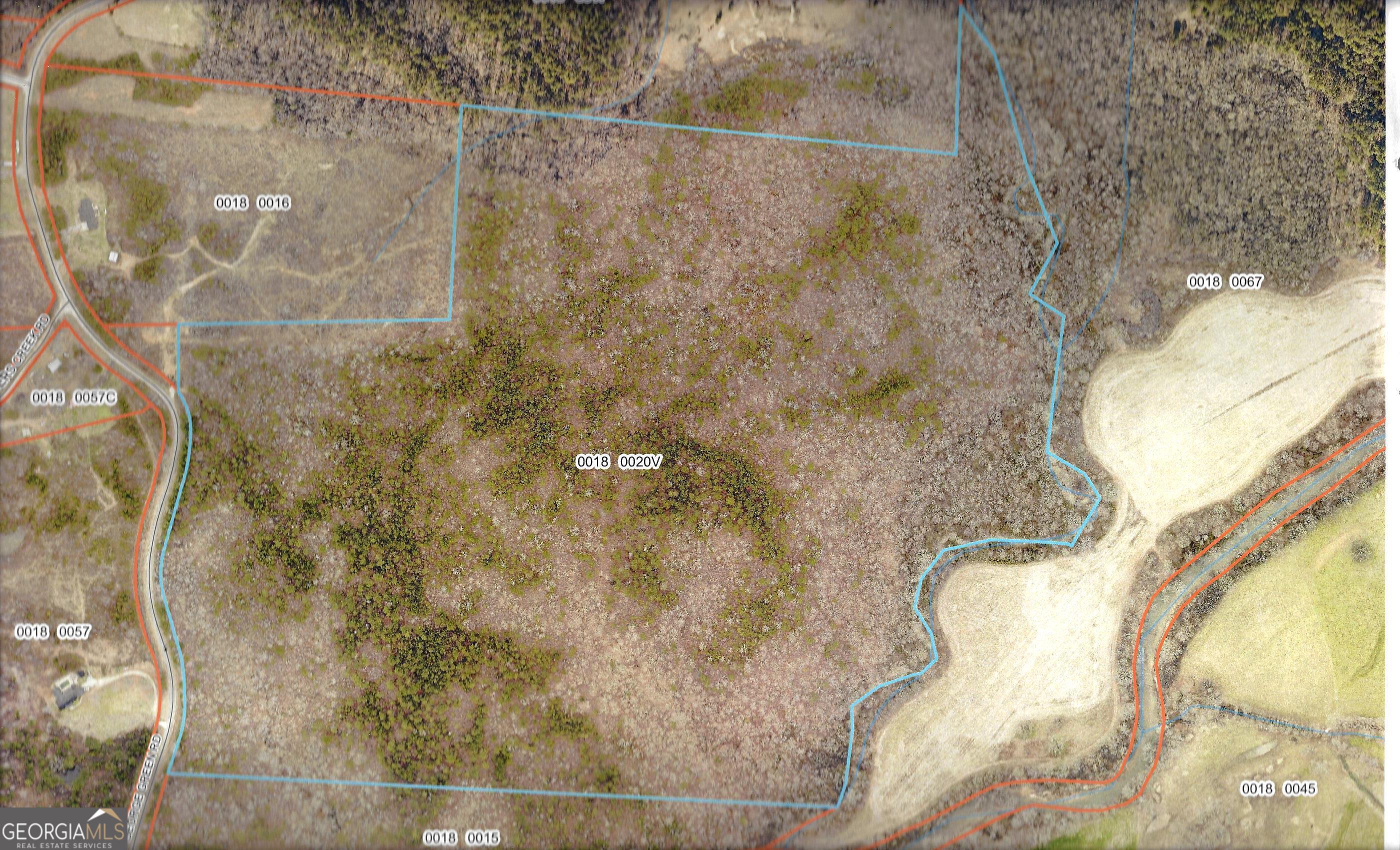 0 George Green Road Tallapoosa, GA 30176 - Photo 8 of 16