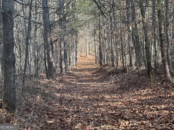 $985,000 | 0 George Green Road, Tallapoosa, GA 30176