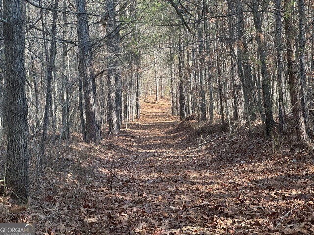 0 George Green Road Tallapoosa, GA 30176 - Photo 9 of 16 Red dirt road continues