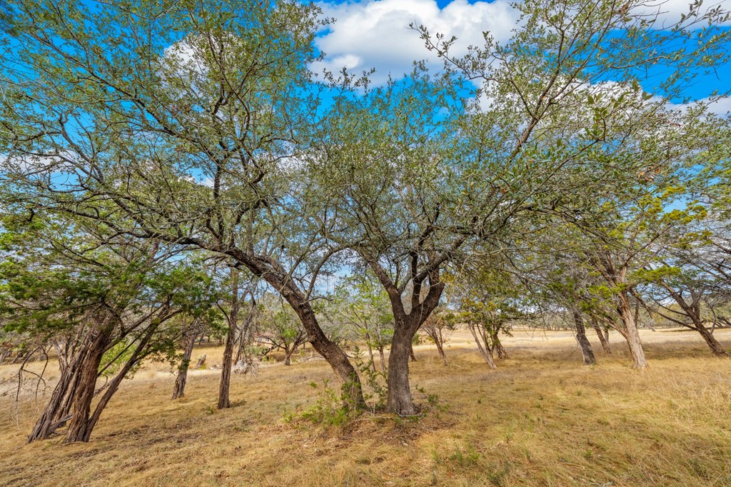 Lot 89 Spring Lakes Parkway Ingram, TX 78025 - Photo 5 of 19