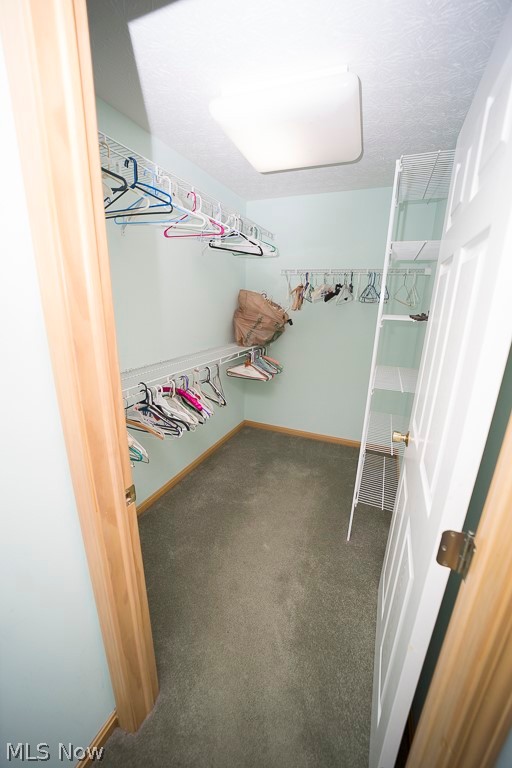 48120 Cooper Foster Park Road Amherst, OH 44001 - Photo 14 of 29 Walk in closet in owner suite.