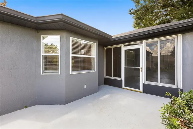 a view of a garden with plants and a large tree