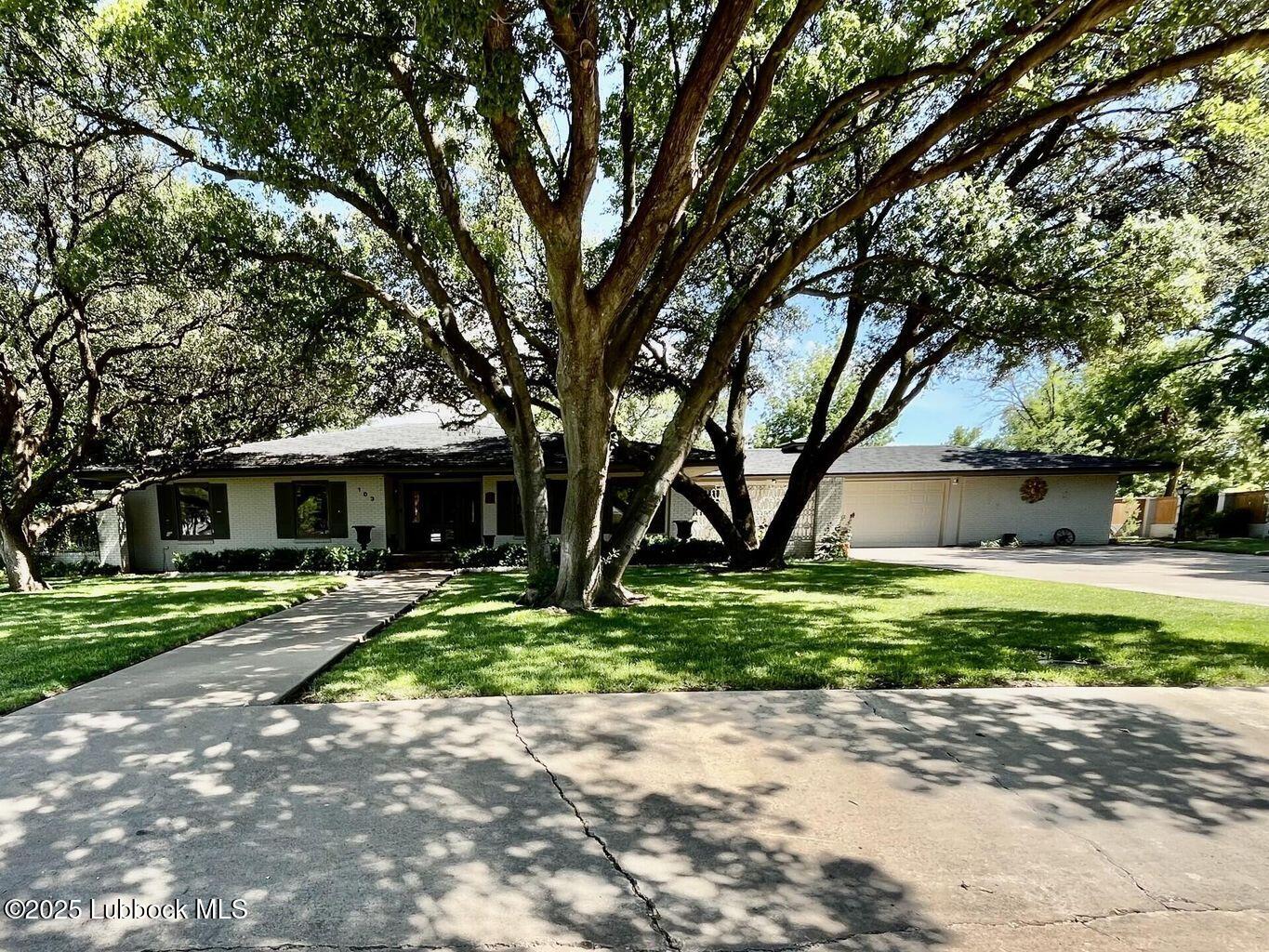 a view of a trees in front of a house