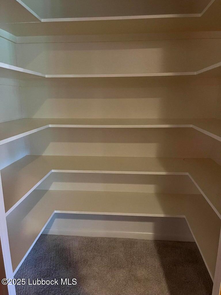 103 Yucca Terrace Plainview, TX 79072 - Photo 53 of 79 a view of walk in closet with empty racks